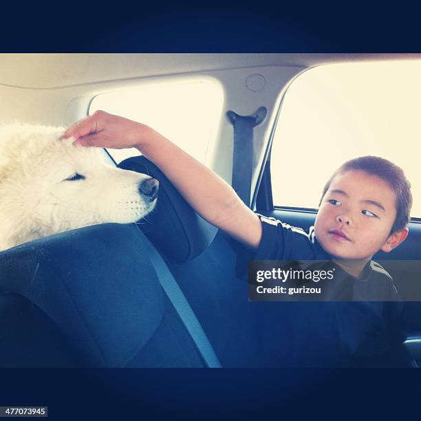 boy stroking a pet dog in the car - petting car stock pictures, royalty-free photos & images