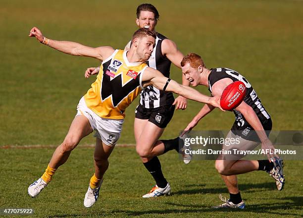 Kieran Harper of the Tigers gathers the ball during the round nine VFL match between Collingwood and Werribee at Victoria Park on June 14, 2015 in...