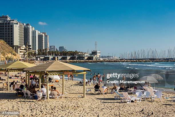 view of the hilton beach - tel aviv stock-fotos und bilder