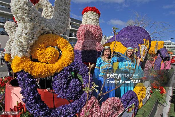 the annual flower parade in keukenhof - dancing for ned stock pictures, royalty-free photos & images