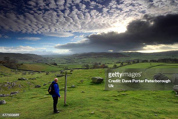 walker at the norber erratics rock yorkshire - yorkshire dales national park stock pictures, royalty-free photos & images