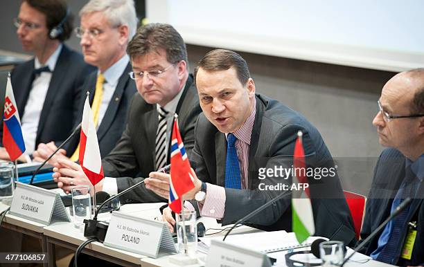 Polish Foreign Minister Radoslaw Sikorski speaks at a meeting of the foreign ministers of the Nordic, Baltic and Visegrad countries in Narva, Estonia...