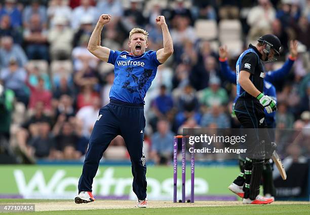 David Willey of England celebrates the wicket of Martin Guptill of New Zealand during the 3rd ODI Royal London One-Day Series 2015 between England...