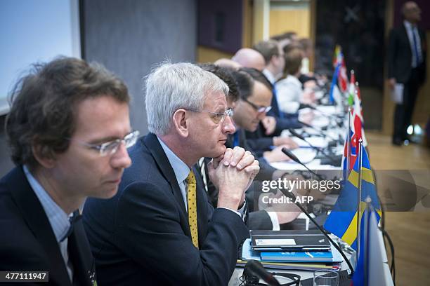 Swedish Foreign Minister Carl Bildt attends a meeting of the foreign ministers from the Nordic, Baltic and Visegrad countries in Narva, Estonia on...