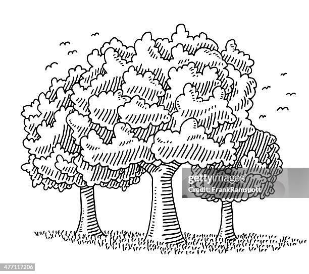 28 051点のモノクロ樹木イラスト素材 Getty Images 28 051点のモノクロ樹木イラスト素材 Getty Images