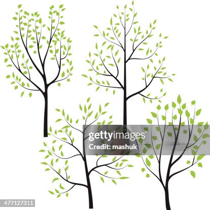 Spring tree Spring tree