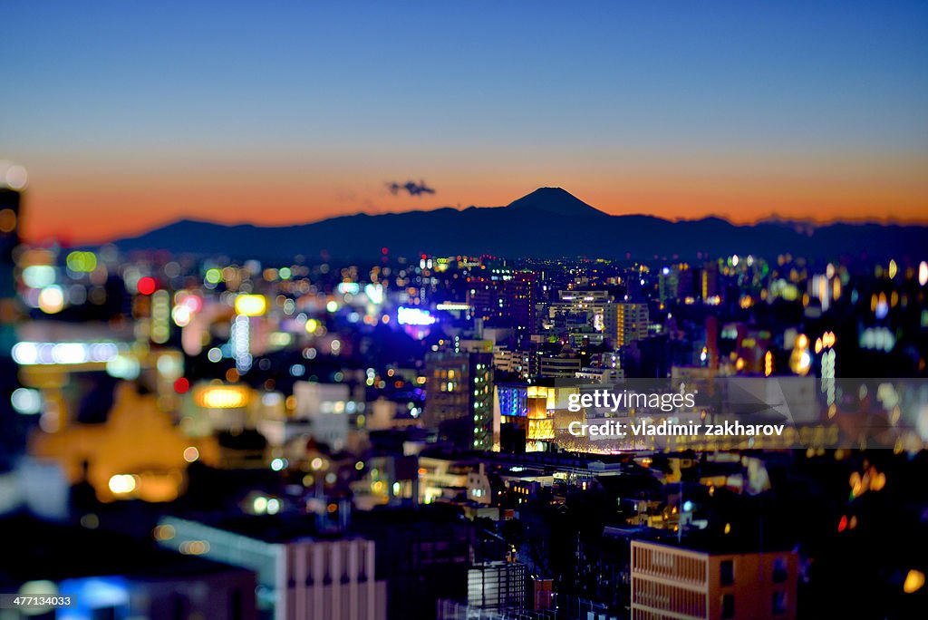 Glittering Tokyo cityscape at sunset