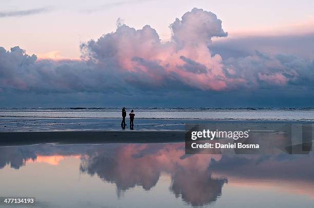 morning magic - waddenzee stockfoto's en -beelden
