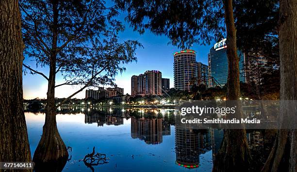 the reflections at lake eola - florida media stock pictures, royalty-free photos & images