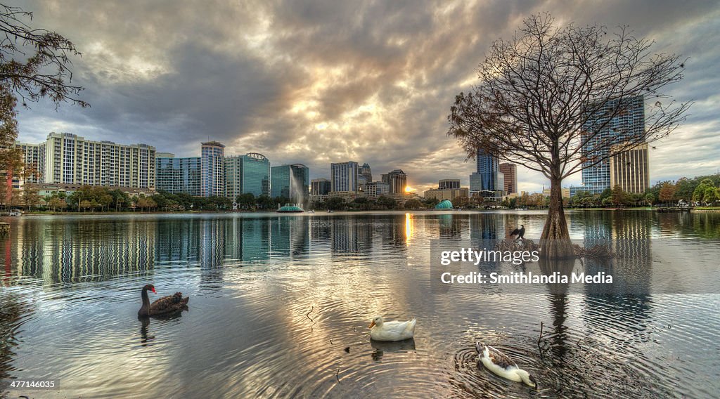 Lake Eola Cloudy Sunset