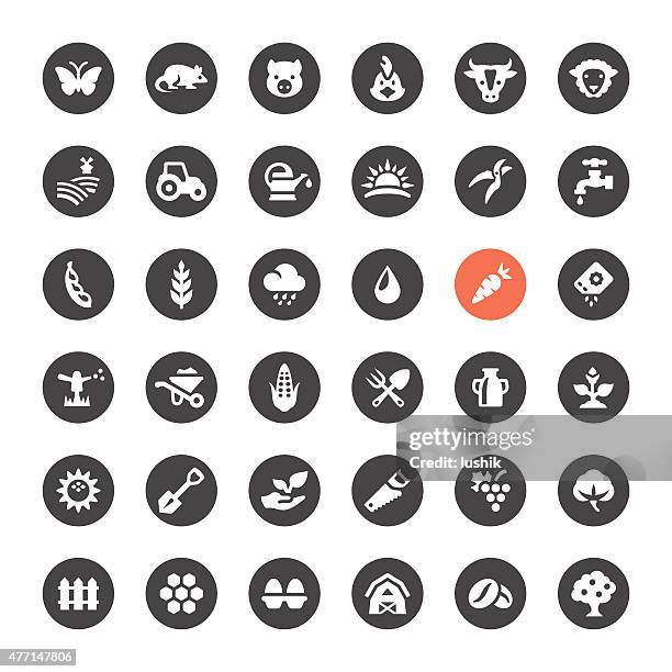 landwirtschaft und landwirtschaft-vektor-icons - baumwolle stock-grafiken, -clipart, -cartoons und -symbole