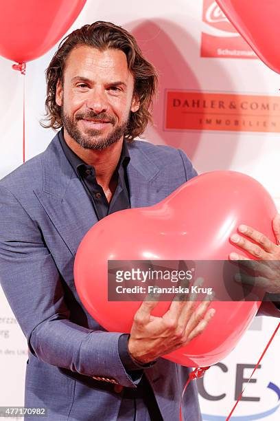 Stephan Luca attends the 'Das Herz im Zentrum' Charity Gala on June 14, 2015 in Hamburg, Germany.