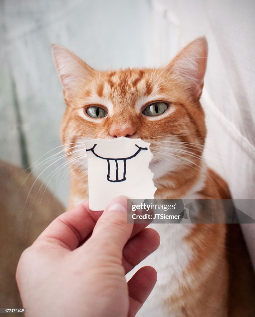 Orange Cat face