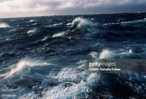bering sea, winter seas whipped by 90 knot winds - pacific stockfoto's en -beelden