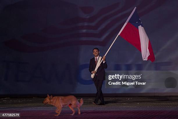 Flag bearer of Chile Tomas Gonzalez parades as a dog invades the field during the Opening Ceremony of the X South American Games Santiago 2014 at...