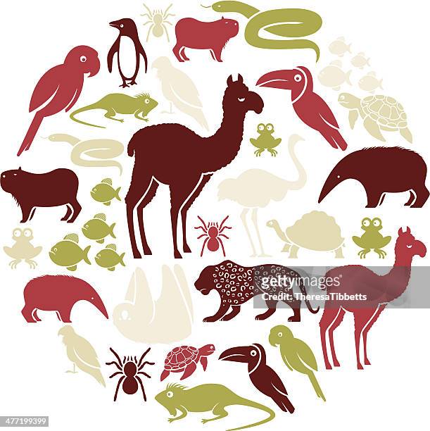 ilustrações de stock, clip art, desenhos animados e ícones de conjunto de ícones de animais da américa do sul - iguana