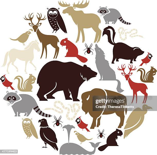 north american tier-symbol set - streifenhörnchen stock-grafiken, -clipart, -cartoons und -symbole