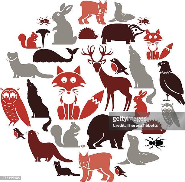 european animal icon set - wildcat animal stock illustrations