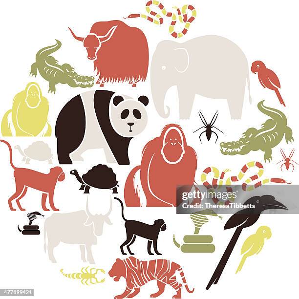 ilustraciones, imágenes clip art, dibujos animados e iconos de stock de asian conjunto de animales. - orangután