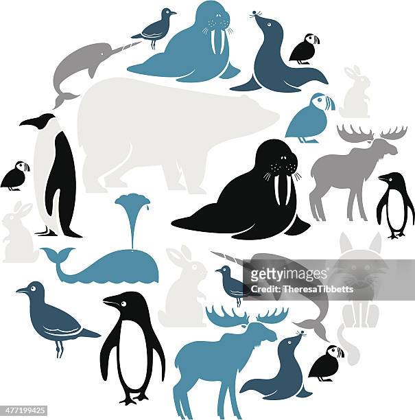 arctic tiere icon-set - pinguine stock-grafiken, -clipart, -cartoons und -symbole