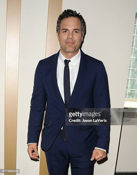 Actor Mark Ruffalo attends the premiere of "Infinitely Polar Bear" at the 2015 Los Angeles Film Festival at Regal Cinemas L.A. Live on June 14, 2015...