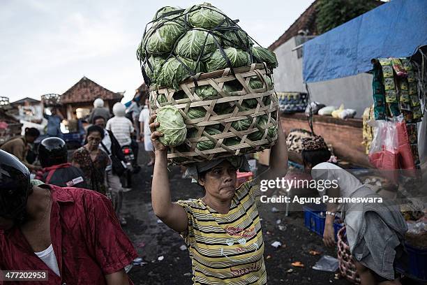 An Indonesian female porter carries a basket of vegetables on her head at Badung traditional market on March 8, 2014 in Denpasar, Bali, Indonesia....