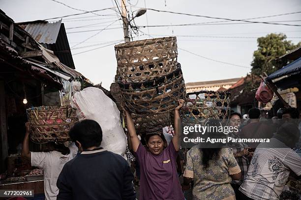 An Indonesian female porter carries baskets on her head at Badung traditional market on March 8, 2014 in Denpasar, Bali, Indonesia. Today, around the...