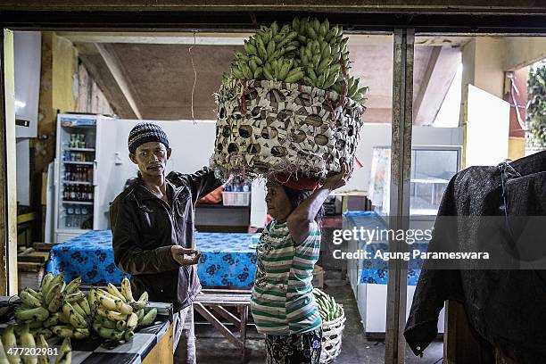 An Indonesian female porter carries a basket of bananas on her head at Badung traditional market on March 8, 2014 in Denpasar, Bali, Indonesia....