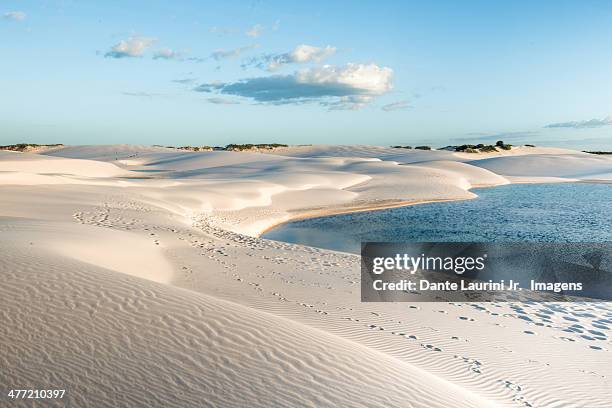 lakes and dunes of lençois maranhenses - barreirinhas stock pictures, royalty-free photos & images