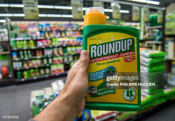 This picture taken on June 15, 2015 shows a bottle of Monsanto's 'Roundup' pesticide in a gardening store in Lille. French Ecology Minister Segolene...