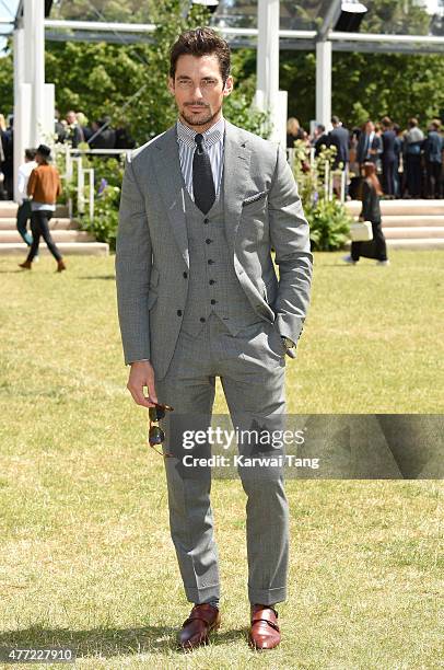 David Gandy attends the Burberry Prorsum show during The London Collections Men SS16 at on June 15, 2015 in London, England.