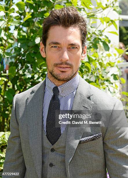 David Gandy arrives at the Burberry Menswear Spring/Summer 2016 show at Kensington Gardens on June 15, 2015 in London, England.