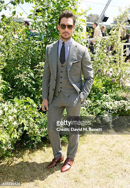 David Gandy arrives at the Burberry Menswear Spring/Summer 2016 show at Kensington Gardens on June 15, 2015 in London, England.