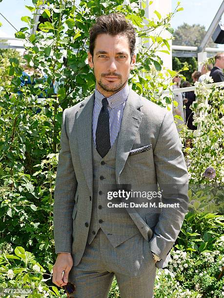 David Gandy arrives at the Burberry Menswear Spring/Summer 2016 show at Kensington Gardens on June 15, 2015 in London, England.