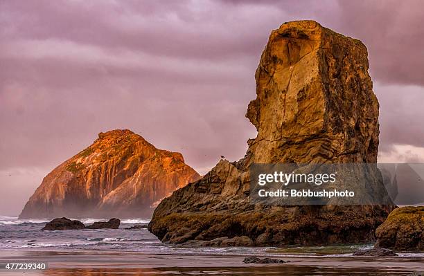 early morning sunrise at bandon, oregon sea stacks - oregon coast stock pictures, royalty-free photos & images