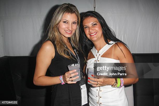 Guests attend the Carolina Herrera Fashion Show with GREY GOOSE Vodka at the Cadillac Championship at Trump National Doral on March 7, 2014 in Doral,...