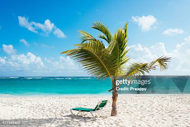 beach lounger under palm tree - punta cana stock pictures, royalty-free photos & images