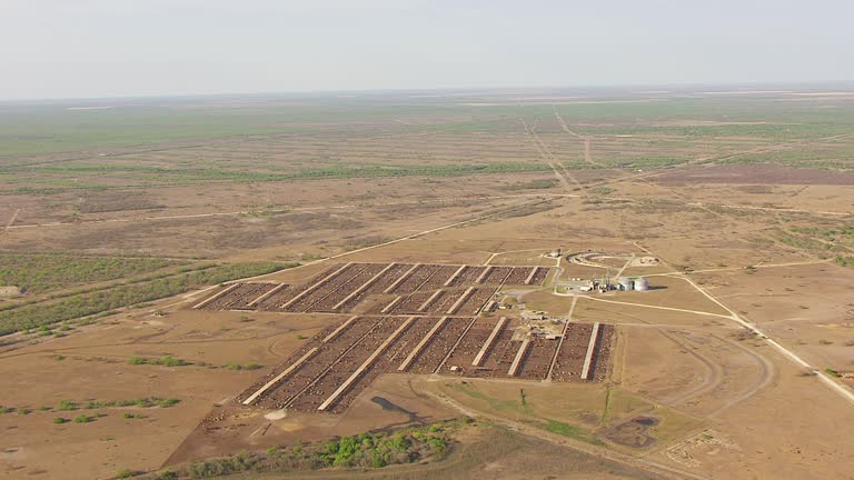 Kingsville Ranch King Ranch Texas Videos and HD Footage - Getty Images