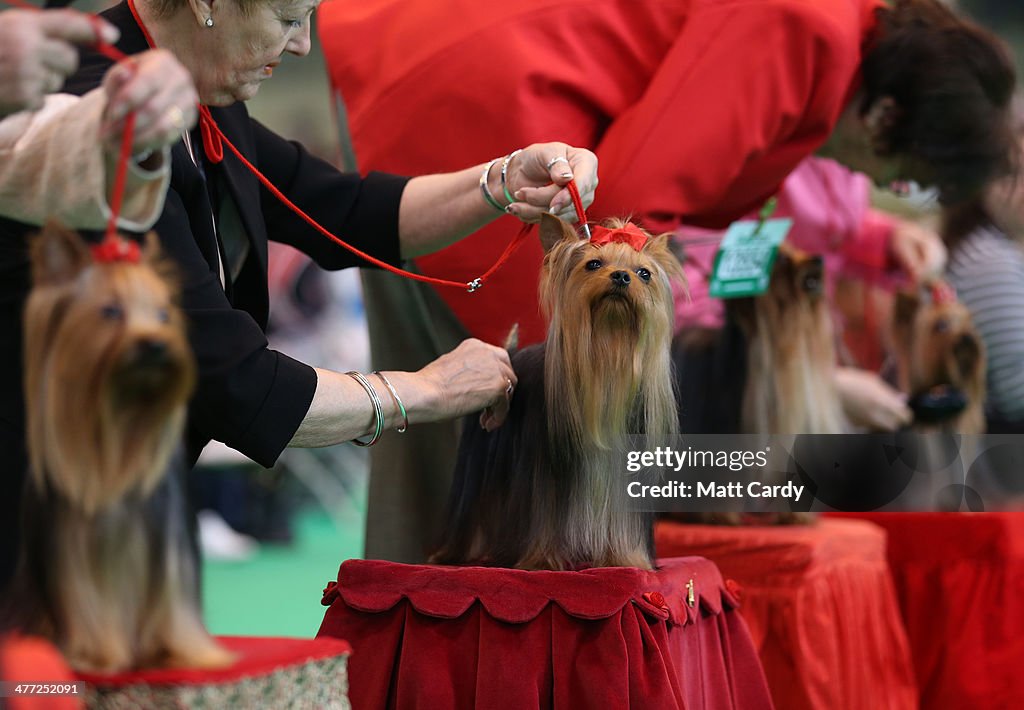 Dogs And Owners Gather For 2014 Crufts Dog Show