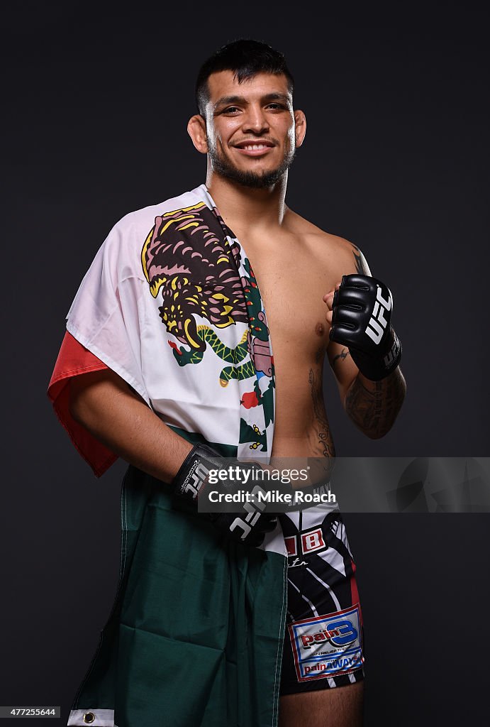 UFC 188: Velasquez v Werdum