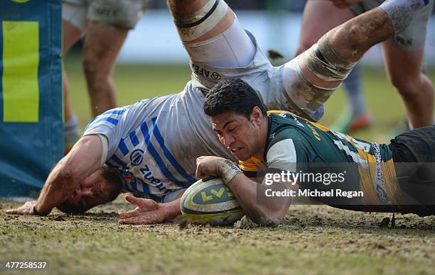 George Pisi 896 George Pisi Photos & High Res Pictures - Getty Images