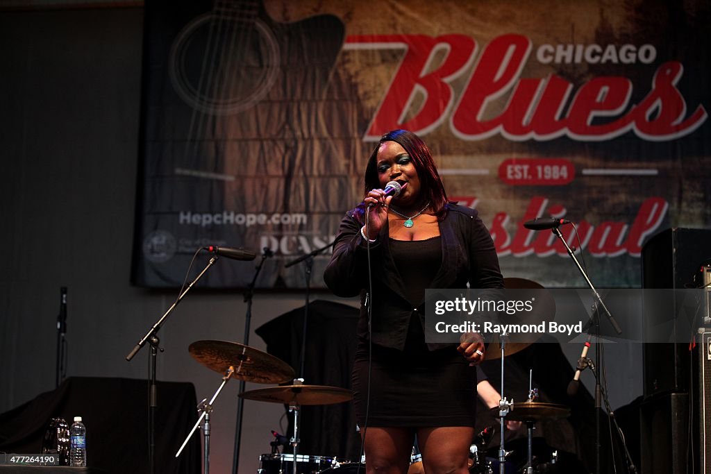 32nd Annual Chicago Blues Festival