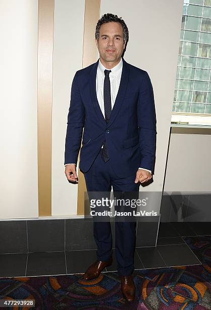 Actor Mark Ruffalo attends the premiere of "Infinitely Polar Bear" at the 2015 Los Angeles Film Festival at Regal Cinemas L.A. Live on June 14, 2015...