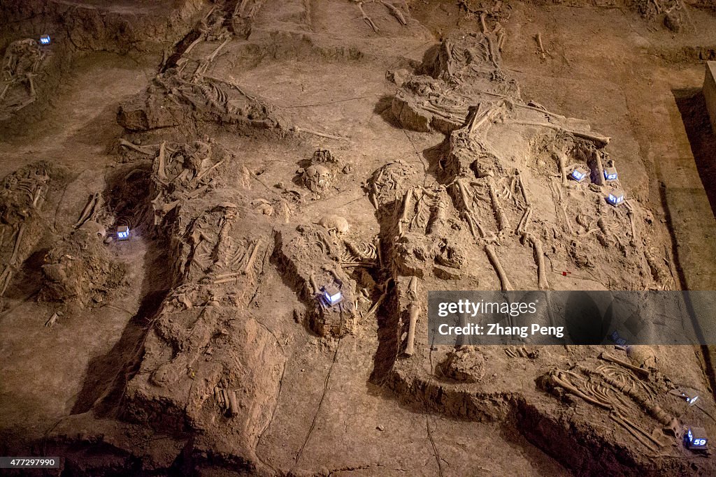 Skeletal remains of victims in Nanjing Massacre.  The...