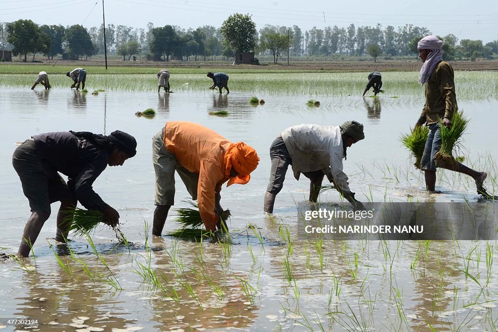 INDIA-ECONOMY-AGRICULTURE