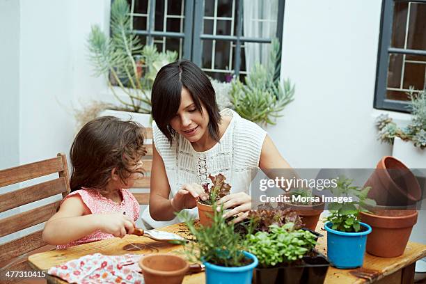 mother and daughter gardening - lean in collection stock pictures, royalty-free photos & images