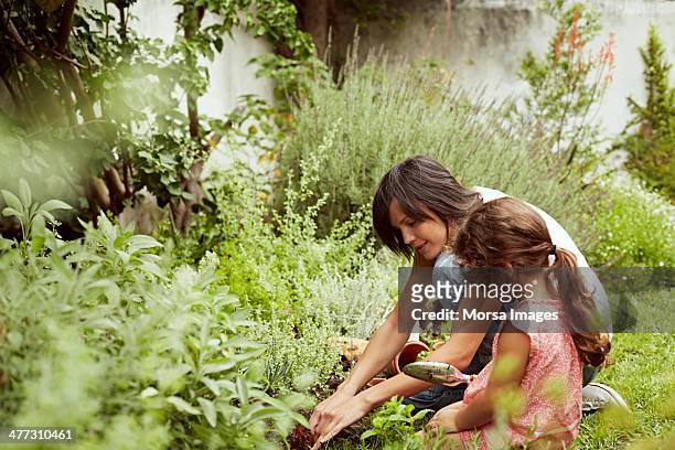 mother and daughter gardening - garden stock pictures, royalty-free photos & images