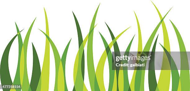 grass 4 - blade of grass stock illustrations