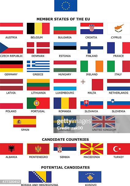 eu flags - bosnia and herzegovina stock illustrations