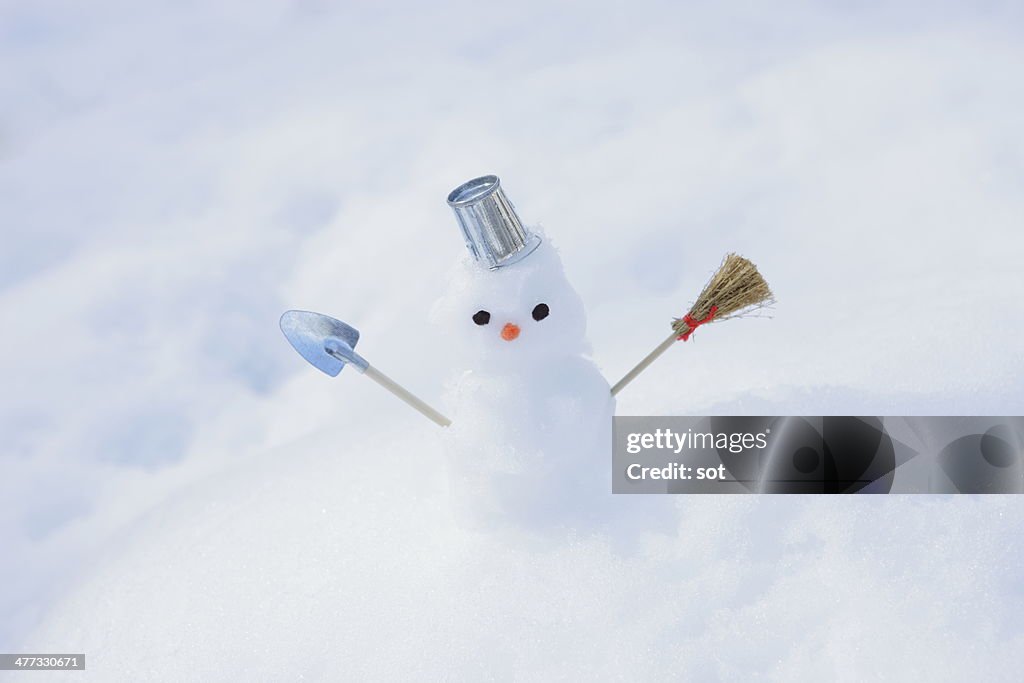 Tiny snowman in the snow